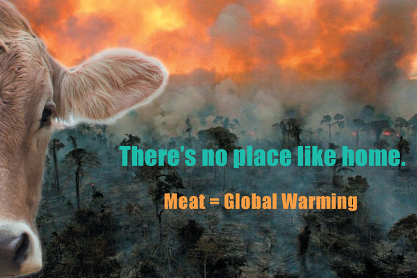 Climate Card Front Climate Card Front