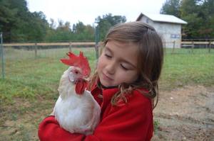 Piedmont Farm Animal Sanctuary