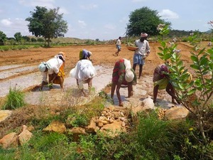 Ahimsa Produce